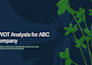 provide business consulting services